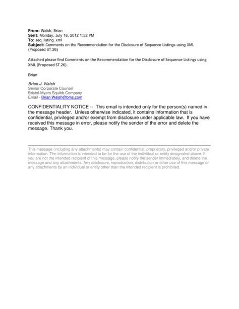 simple disclaimer template|13 Free Email Disclaimer Examples & Templates.
